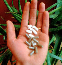 Supplements on hand